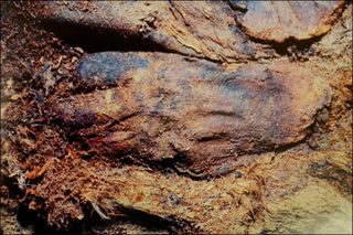 Illustration for article titled The Mysterious "Accidental Mummies" of Medieval Siberia